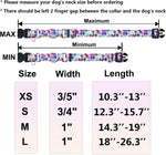 Fidohug reflective martingale collar flat lay product shot