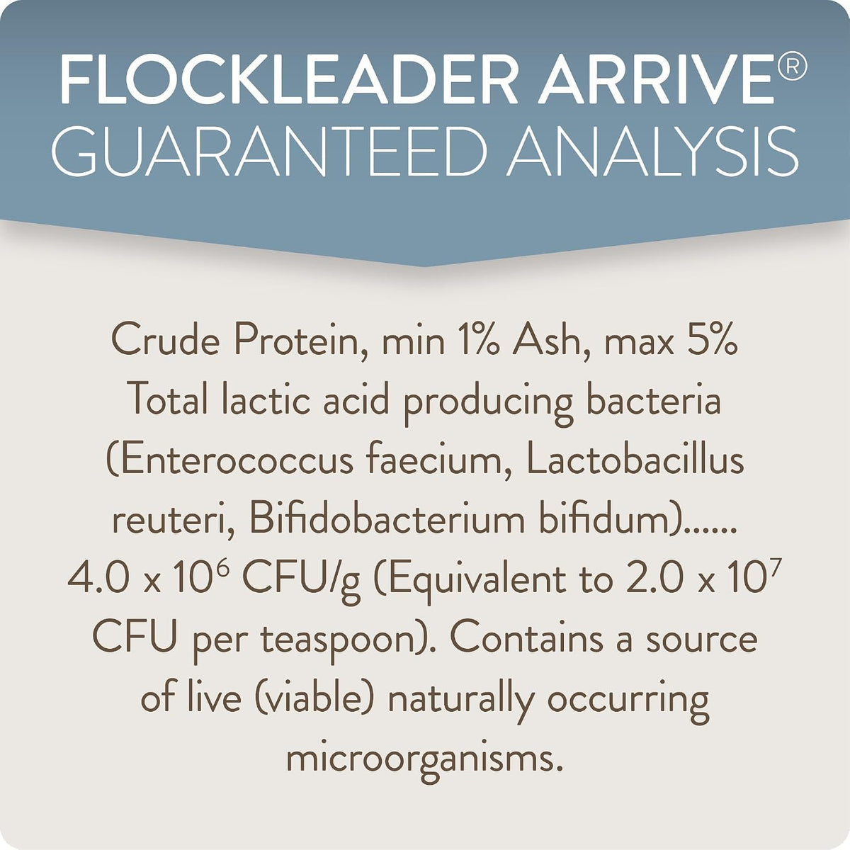 FlockLeader Arrive daily preventative nutritional powder supplement close up product view