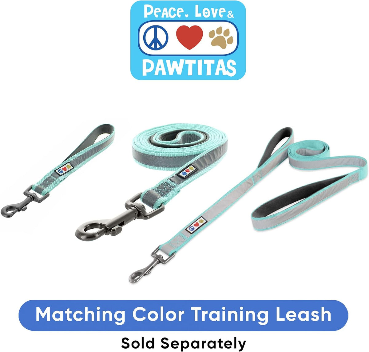 Pawtitas medium breed training collar lifestyle product showcase