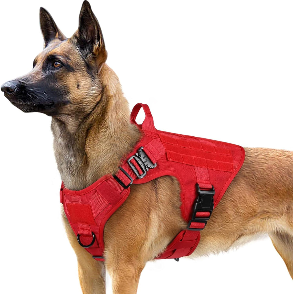 rabbitgoo Tactical Dog Harness for Small, Heavy Duty Military No Pull Vest | Sturdy Metal Buckles, 5 Adjustments, Molle System, Powerful Pullers for Training, Hunting, Outdoor, Grey, Small - Image 13