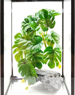 Two pack Woyrise Monstera plants for pet habitat landscaping