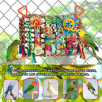 Authentic imported YIXUND bird foraging wall installed inside a pet cage