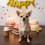 Collection of 10 multicolor mini party hats for stuffed animals