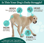 Natural anti itch pet supplement ingredients featuring omega 3 fish oil for skin health.