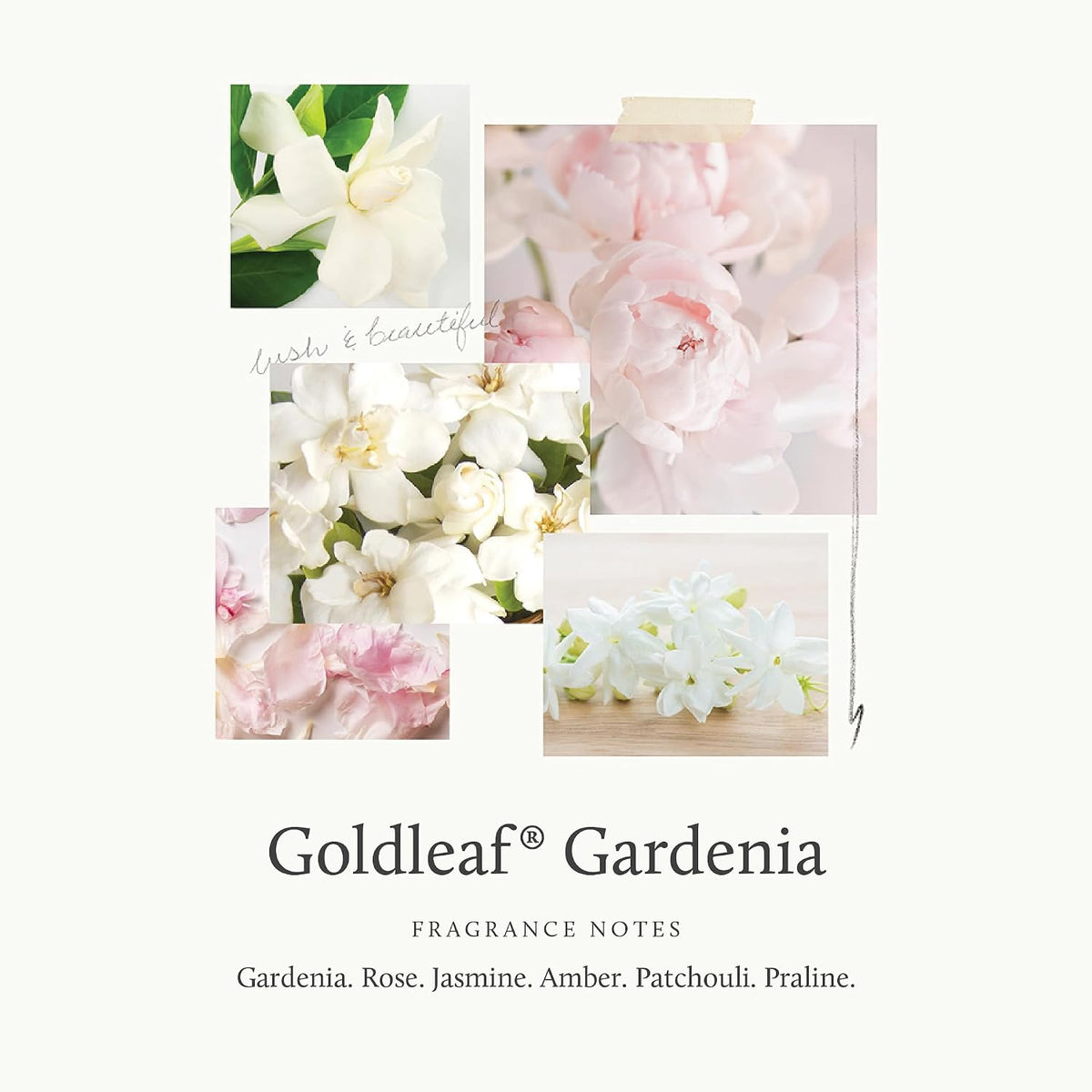 Thymes Goldleaf Gardenia Eau De Parfum glass silhouette