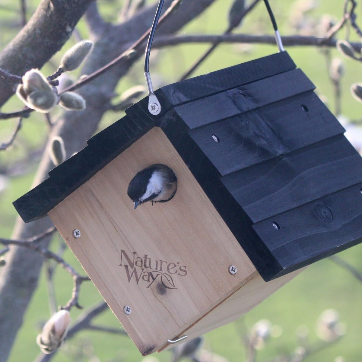 Natures Way Cedar Wren House placed in garden setting