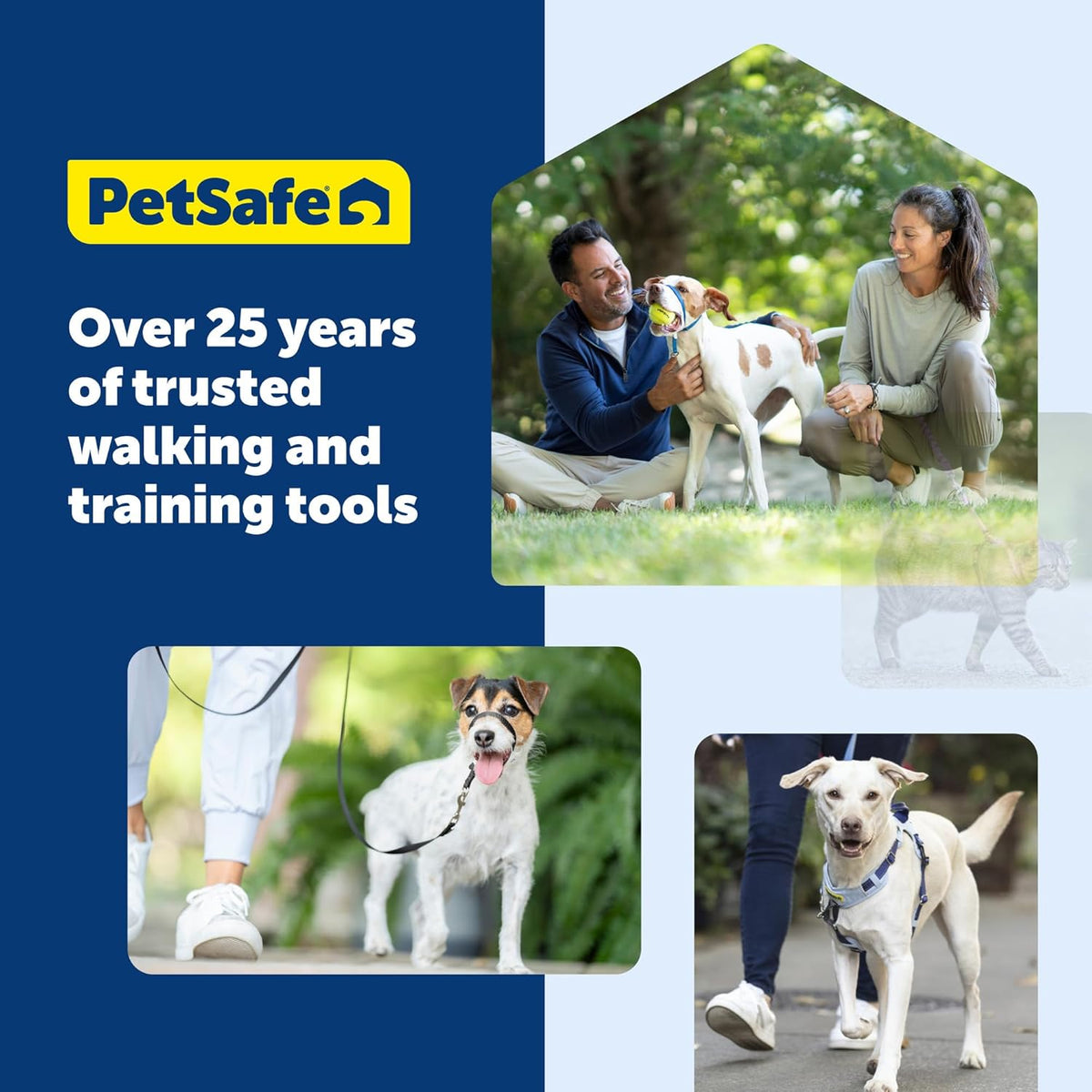 PetSafe lightweight puppy leash packaged view showing official branding