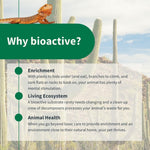 BIODUDE organic desert plant and succulent friendly bioactive terrarium mix