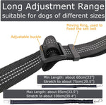 Pet car harness leash with bungee shock absorber