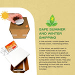 Hardy bulk feeder insects for leopard geckos and insectivorous exotic pets.