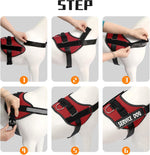 Removable Velcro patches on Mumupet small dog harness