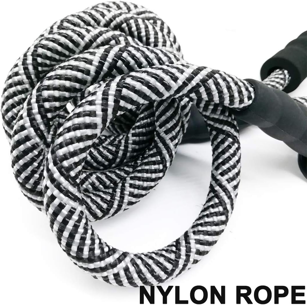 MayPaw heavy duty dog leash reflective threads in action