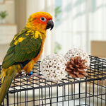 Kyouki parakeet foraging toy box placed on top of an avian cage.