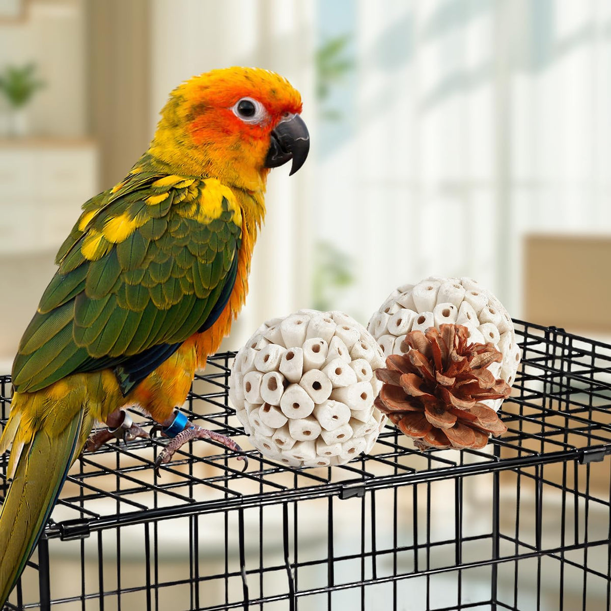 Kyouki parakeet foraging toy box placed on top of an avian cage.