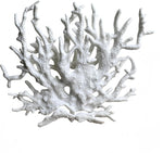SwandTanpand fish tank coral decoration front view showcasing the white branching resin texture in a clean aquarium setup.