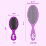 Wet Brush Squirt purple mini hairbrush