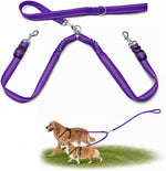 Double Dog Leash for Two Dogs, Complete Set with 31.5" Main Leash + Adjustable Splitter, Padded Handle, D-Ring, 360 degrees Swivel, Shock-Absorbing Bungee, Reflective for Small Medium Large Dogs (Black) - Image 11