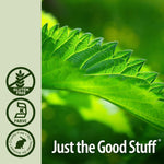 Nature's Answer Nettle Leaf extract bottle with fresh green leaves