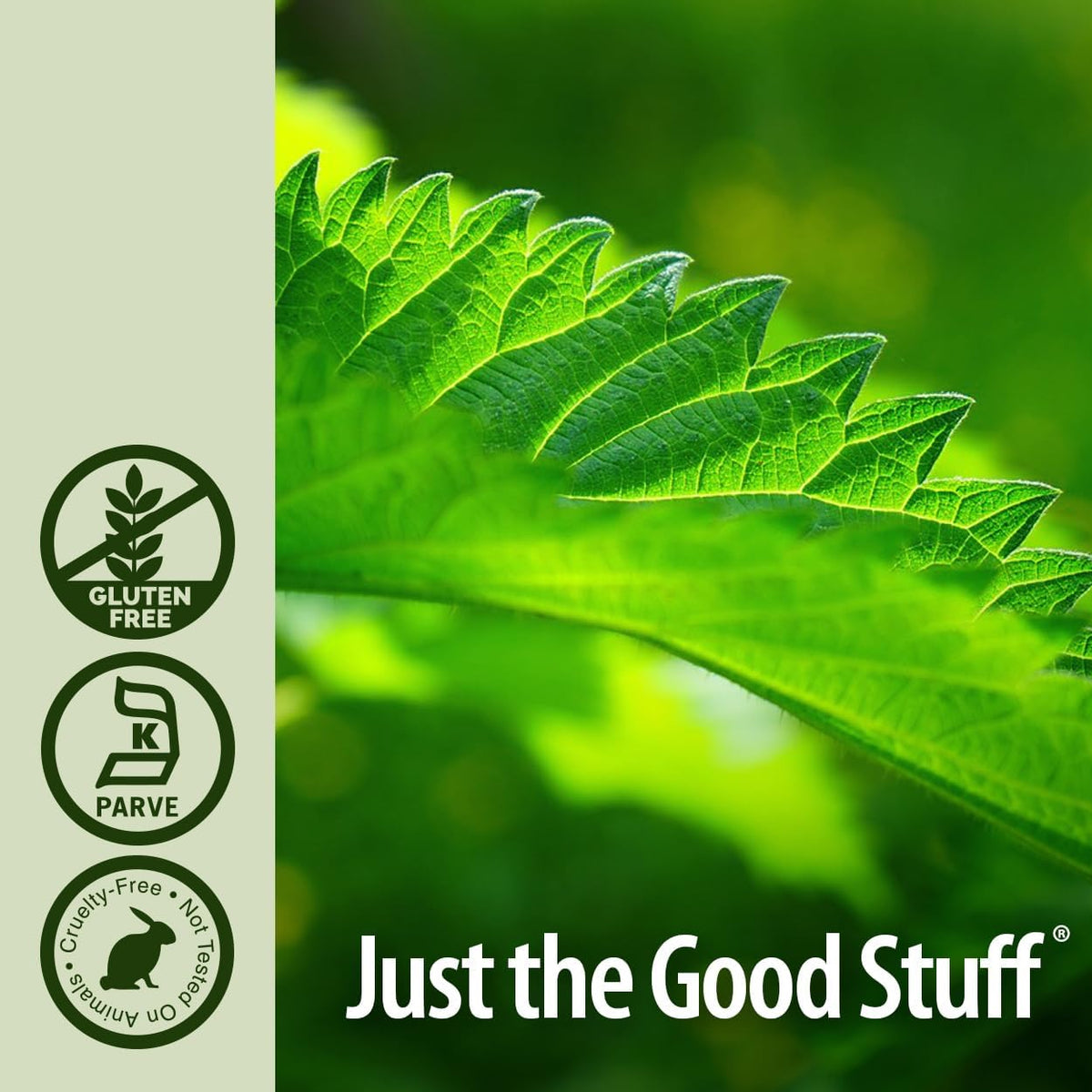Nature's Answer Nettle Leaf extract bottle with fresh green leaves