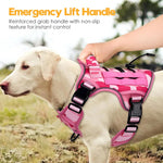 Premium imported Bruvoalon tactical dog harness worn by a medium size breed outdoors