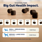 Vetnique Glandex Dog Probiotic Chews, Daily Probiotics for Dogs 5 Strains, Prebiotics & Digestive Enzymes for Gut & Immune Health, Vet Formulated for Occasional Diarrhea (60ct Chews, Probiotic Chews) - Image 9