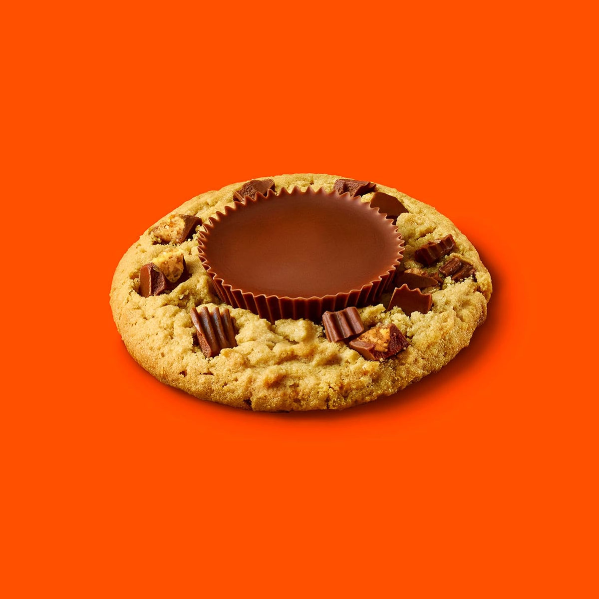 Delicious cross section of Reese's snack size peanut butter cup showing the creamy filling