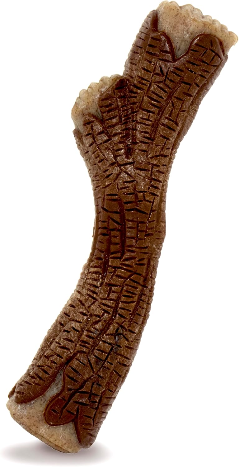 Nylabone strong chew wood stick front view