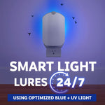 Zevo bug trap plugged into wall outlet