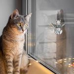 Boxcasa cat sympathy gift displayed on a living room shelf