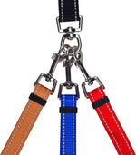 MoSANY adjustable coupler attachments extended to show different length options for three dogs.