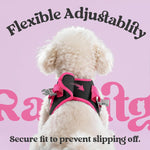 Rabbitgoo secure quick release buckle pet walking harness