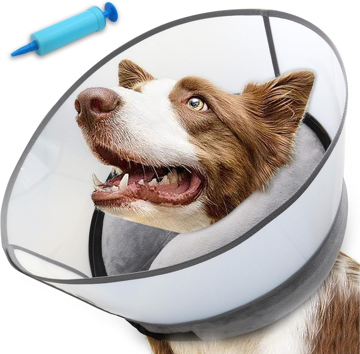 NoarWin 2-in-1 inflatable dog collar front view