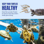 Amzey premium natural reptile food container back view with feeding details.