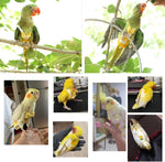 Washable bird diaper packaging showing the available sizes for macaws and parakeets