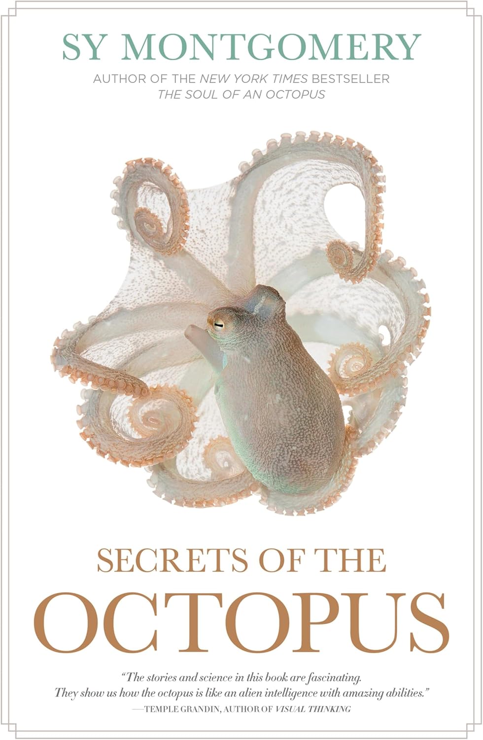 Secrets of the Octopus - Image 1