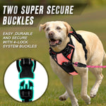 Medium size pet harness featuring anti-chafe inner padding layer
