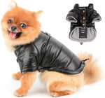 Paideful small dog cold weather coat lifestyle shot