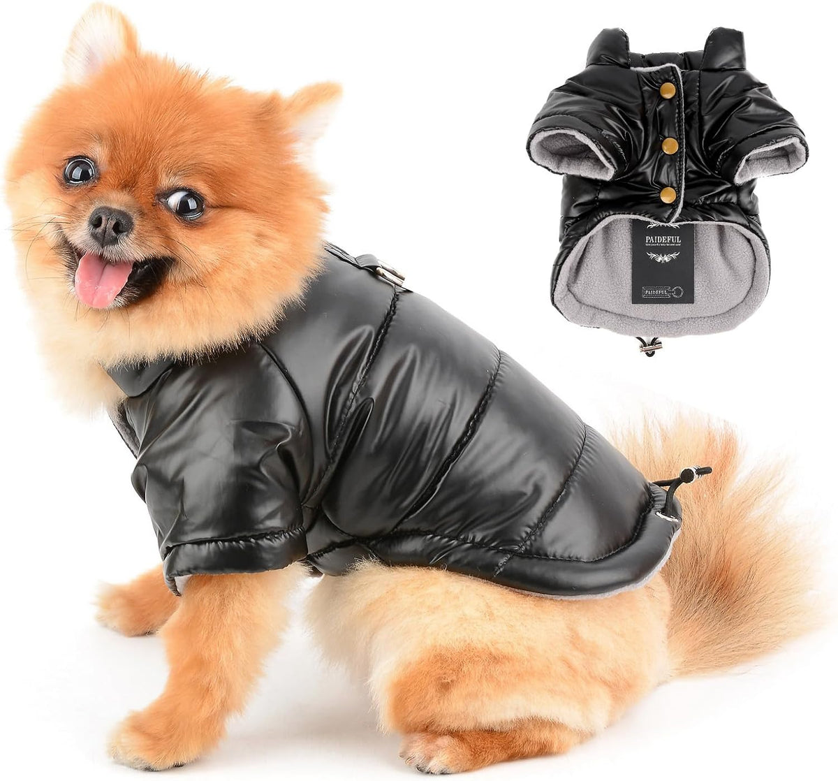 Paideful small dog cold weather coat lifestyle shot