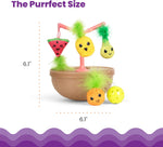Catstages interactive pet toy shown in packaging for indoor cats