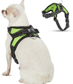 Copatchy no pull dog harness with metal D-ring attachment