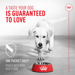 Daily veterinary formula probiotic powder for healthy canine stool quality