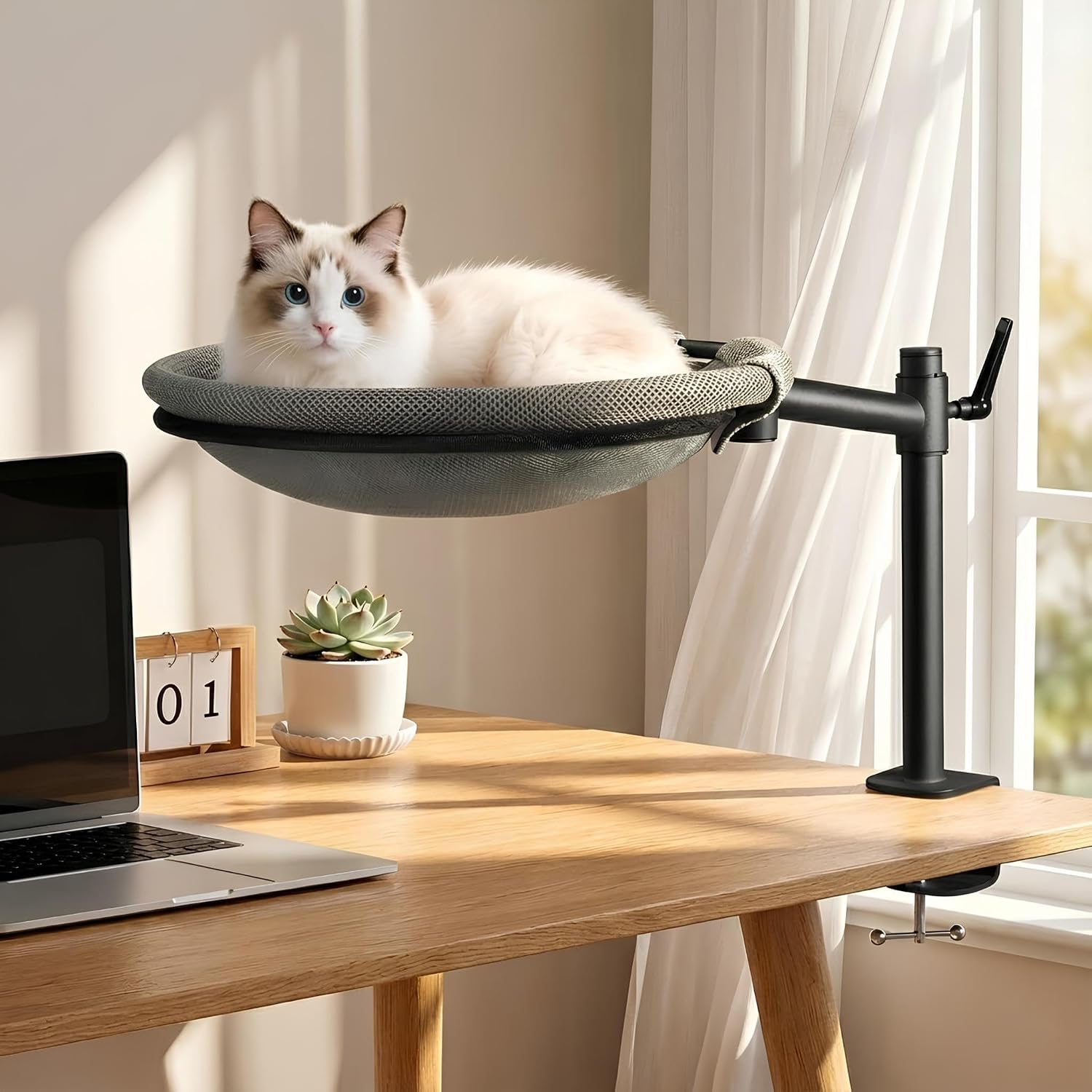 Unidevice cat desk bed front view with 360 rotation