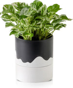 Nihow ceramic self watering plant pot front view