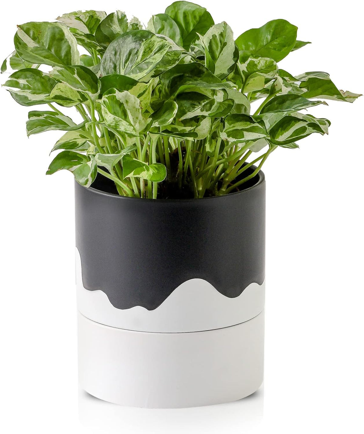 Nihow ceramic self watering plant pot front view