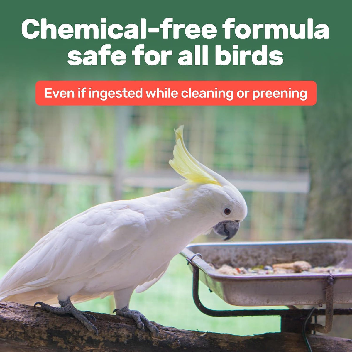 Samorillo USA-imported aloe vera feather spray for healthy molting and soft plumage.