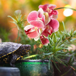 Artificial reptile habitat plant for gecko and lizard enclosure