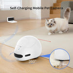 Pumpkii pet camera robot parked at charging dock