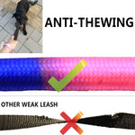Sonqueen three way no tangle dog walking system package components