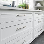 Top Knobs Ascendra polished nickel hardware close up finish detail