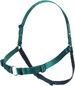 Side profile of a dog wearing the green Sense-ation no-pull training harness.